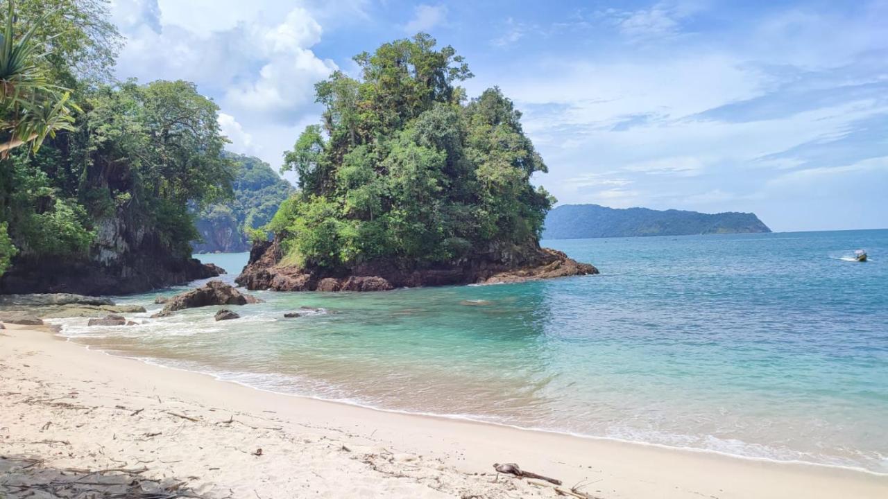 Adventure Turtle Homestay Meru Betiri Sarungan Buitenkant foto