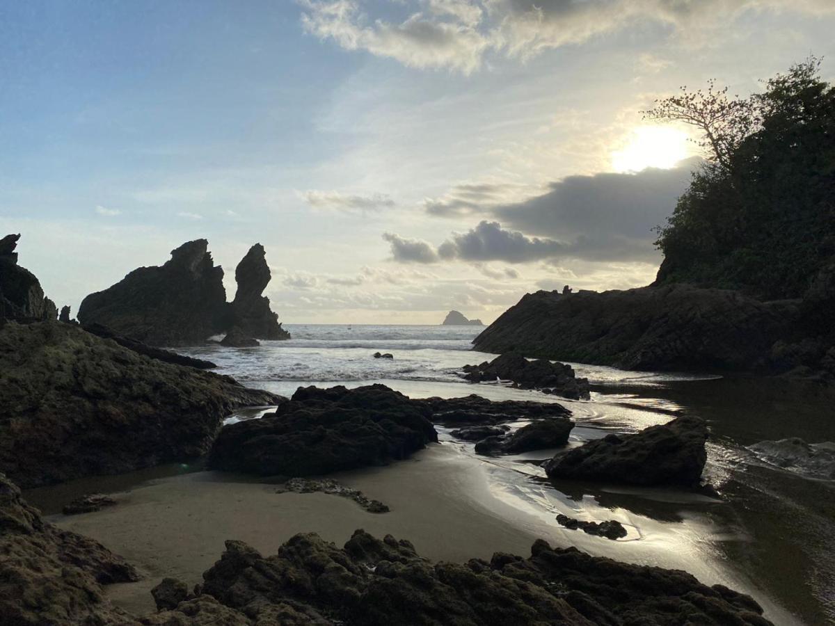 Adventure Turtle Homestay Meru Betiri Sarungan Buitenkant foto