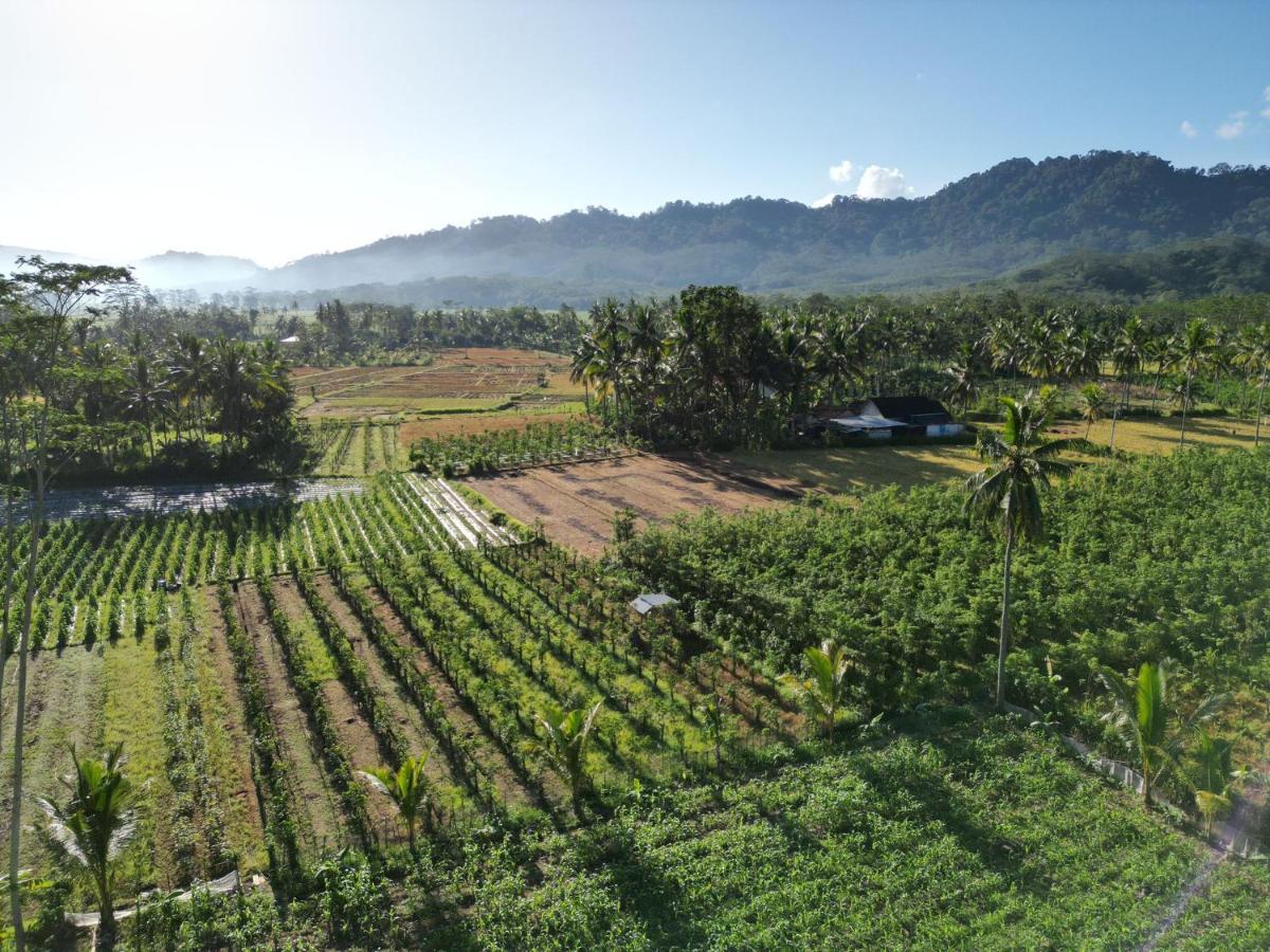 Adventure Turtle Homestay Meru Betiri Sarungan Buitenkant foto
